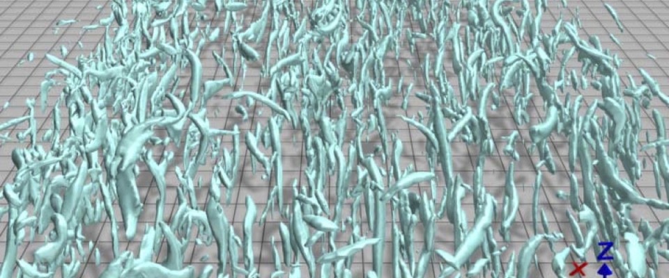 Single_Phase_Cyan_Front_0599